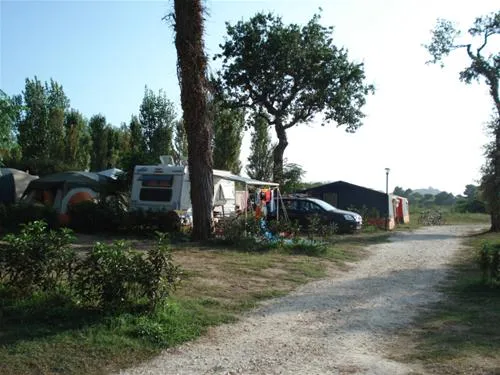 camping-village-park-albatros-san-vincenzo-4clme
