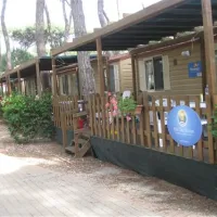 camping-village-park-albatros-san-vincenzo-5idii