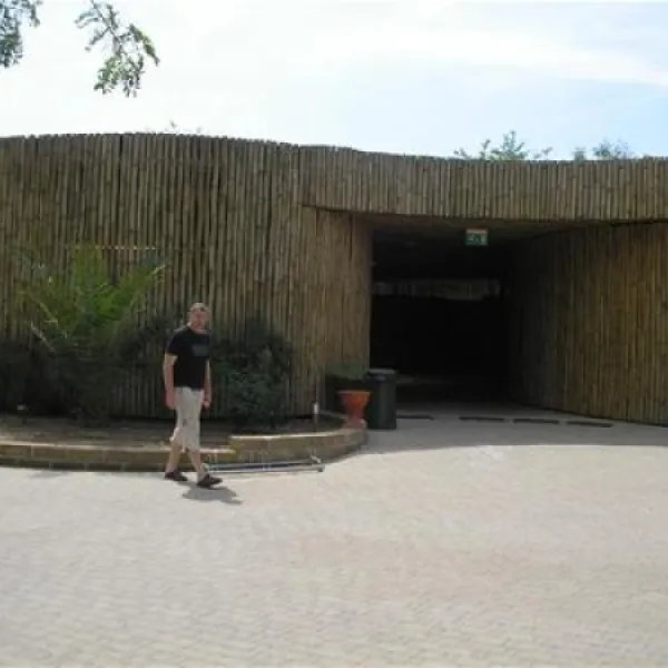 camping-village-park-albatros-san-vincenzo-98evf