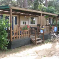 camping-village-park-albatros-san-vincenzo-cckfz