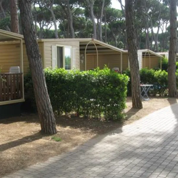 camping-village-park-albatros-san-vincenzo-fmcea