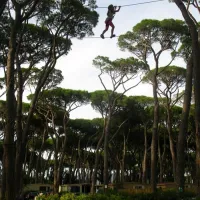 camping-village-park-albatros-san-vincenzo-fzv61