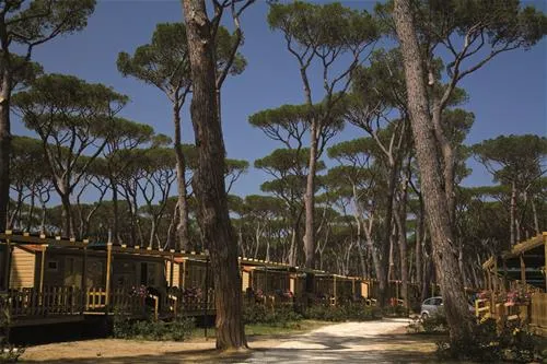 camping-village-park-albatros-san-vincenzo-lktr1