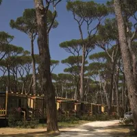 camping-village-park-albatros-san-vincenzo-lktr1