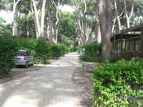 camping-village-park-albatros-san-vincenzo-njeji