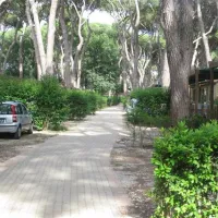 camping-village-park-albatros-san-vincenzo-njeji
