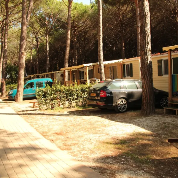 camping-village-park-albatros-san-vincenzo-oj81s