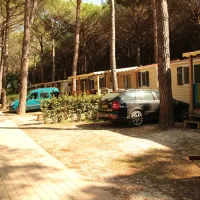 camping-village-park-albatros-san-vincenzo-oj81s