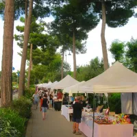 camping-village-park-albatros-san-vincenzo-pwlcb