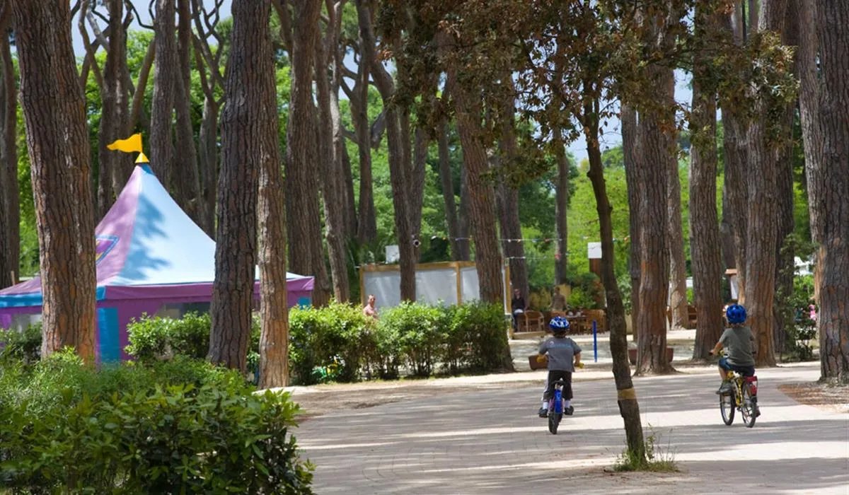 camping-village-park-albatros-san-vincenzo-qlbm7