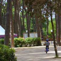 camping-village-park-albatros-san-vincenzo-qlbm7