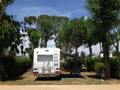 camping-village-park-albatros-san-vincenzo-sdom2
