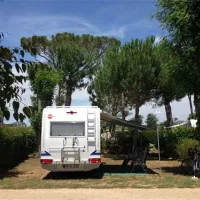 camping-village-park-albatros-san-vincenzo-sdom2