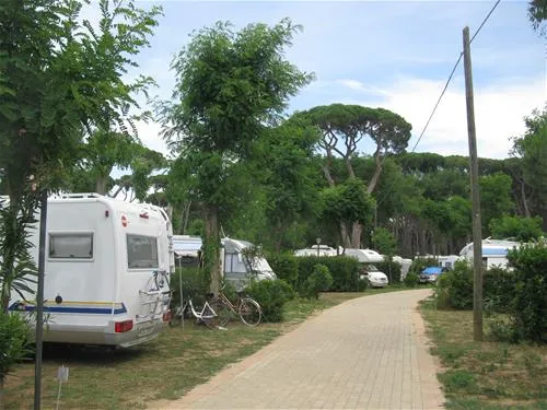 camping-village-park-albatros-san-vincenzo-tfu12