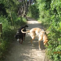 camping-tamarit-park-tamarittarragona-vr2sk