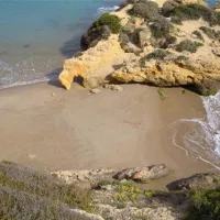 camping-tamarit-park-tamarittarragona-xvs4e