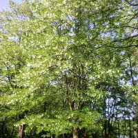 camping-ontario-lukavac-qy11n