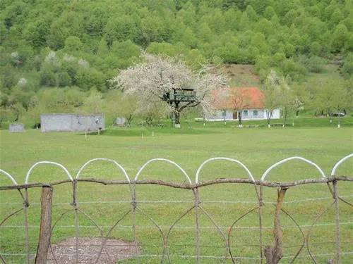 camping-am-hostel-vermosh-dnwm5