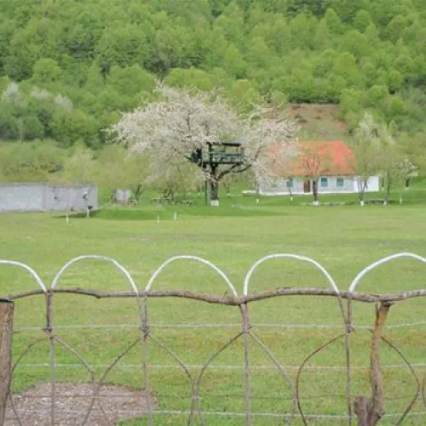 camping-am-hostel-vermosh-dnwm5