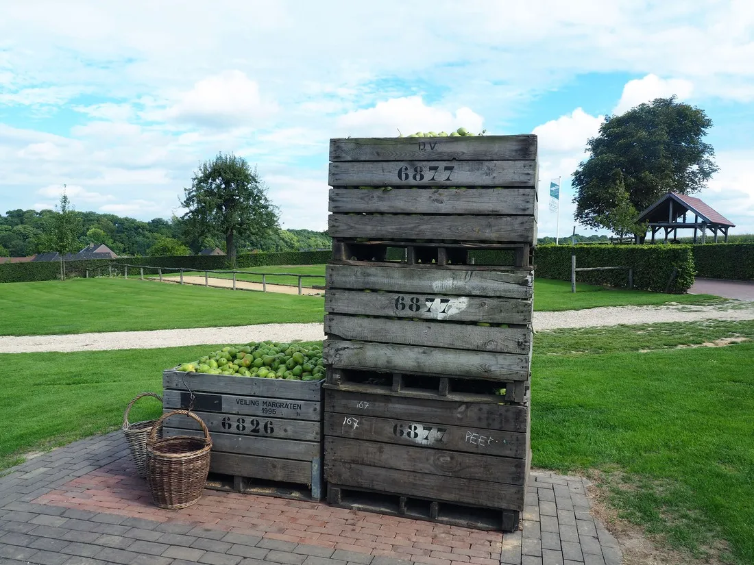 landgoed-moerslag-stgeertruid-k6nlh