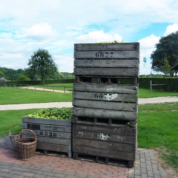 landgoed-moerslag-stgeertruid-k6nlh