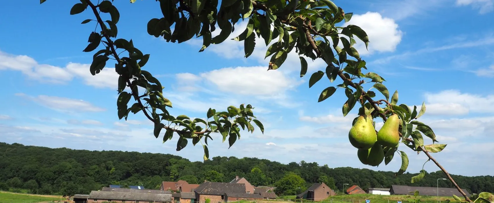 Landgoed Moerslag