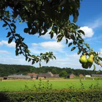 landgoed-moerslag-stgeertruid-po0ad
