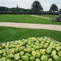 landgoed-moerslag-stgeertruid-vxyjt