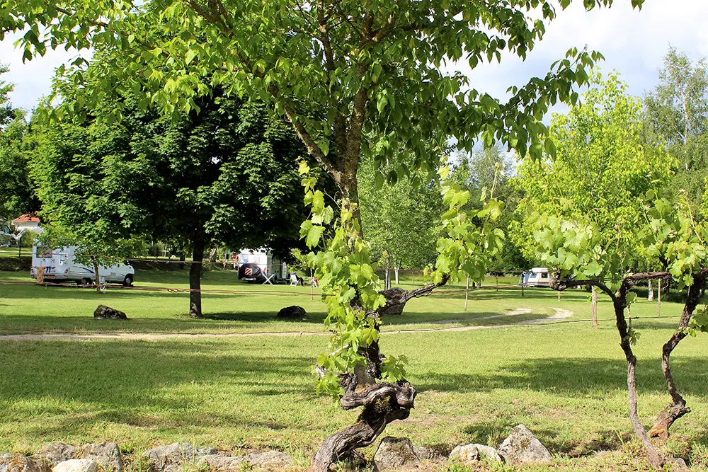 camping-quinta-chave-grande-satao-gjatm