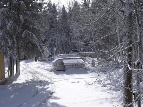 waldcamping-batmund-stgallenkirch-4426o