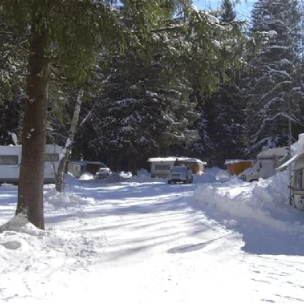 waldcamping-batmund-stgallenkirch-qepyb