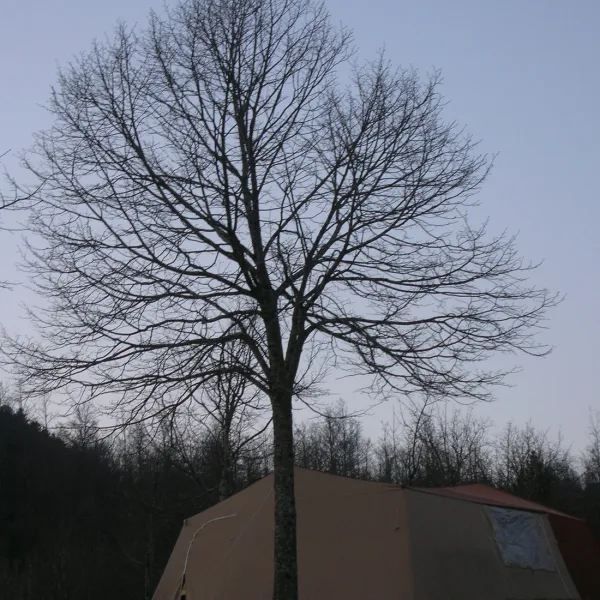 Campeggio La Verna