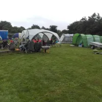 Kongeå Camping
