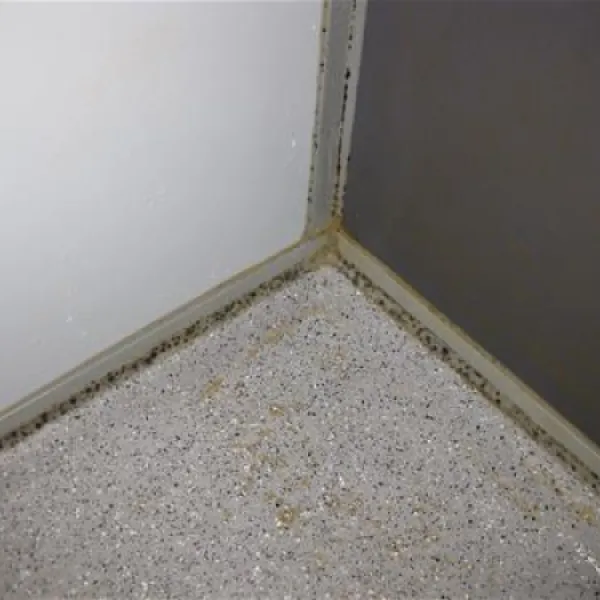 knaus-campingpark-rheinmoselkoblenz-koblenz-rtboz