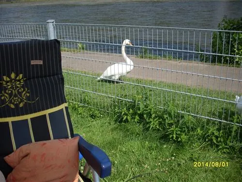 knaus-campingpark-rheinmoselkoblenz-koblenz-wgcaq