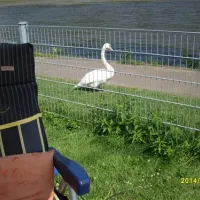 knaus-campingpark-rheinmoselkoblenz-koblenz-wgcaq