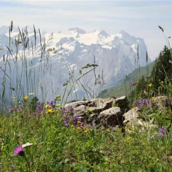 bauernhofcamping-wyler-innertkirchen-ccfle