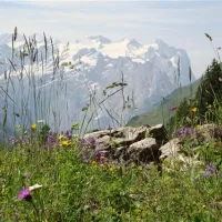 bauernhofcamping-wyler-innertkirchen-ccfle
