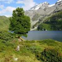 bauernhofcamping-wyler-innertkirchen-wld7o