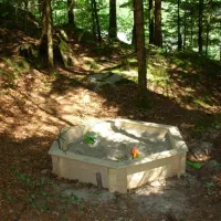 bauernhofcamping-wyler-innertkirchen-zvh08