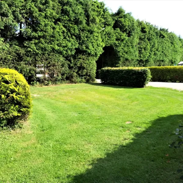 camping-anderegg-waimes-pyrhh