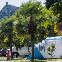 camping-zoo-arco-8zqzi