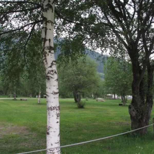 camping-nufenen-ulrichen-wjof3