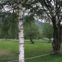 camping-nufenen-ulrichen-wjof3