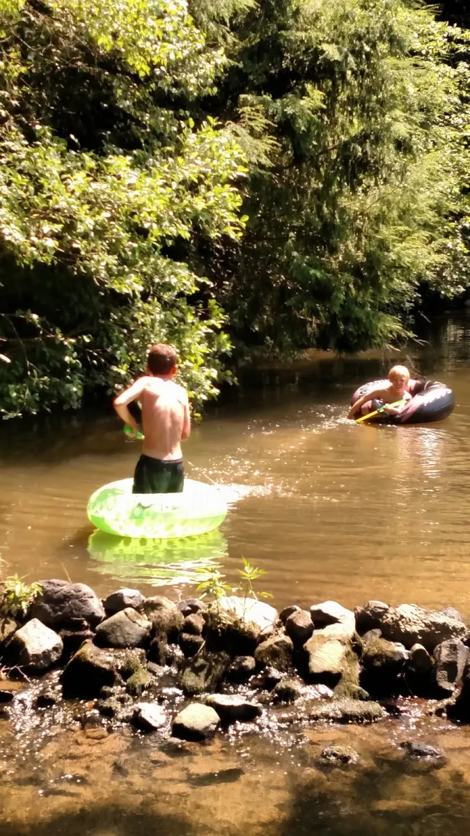 laurel-lake-campsites-new-ringgold-zwtee