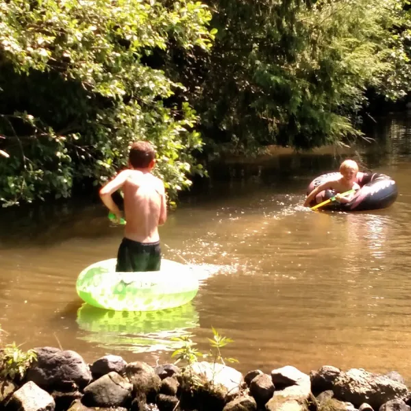 laurel-lake-campsites-new-ringgold-zwtee