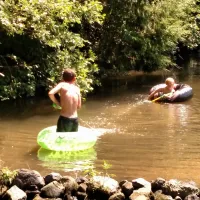 Laurel Lake Campsites