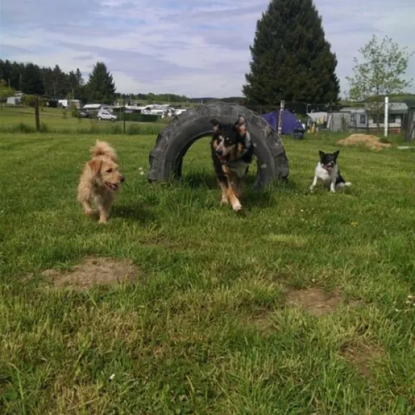 campingpark-im-bergischen-land-lindlar-trodf