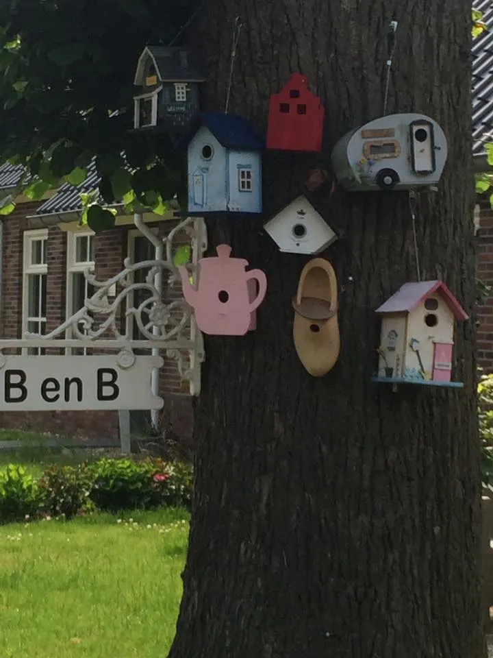 gezond-boeren-verstand-dalerveen-ipxbw