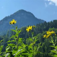 camping-rueppenhof-thiersee-gy4sv